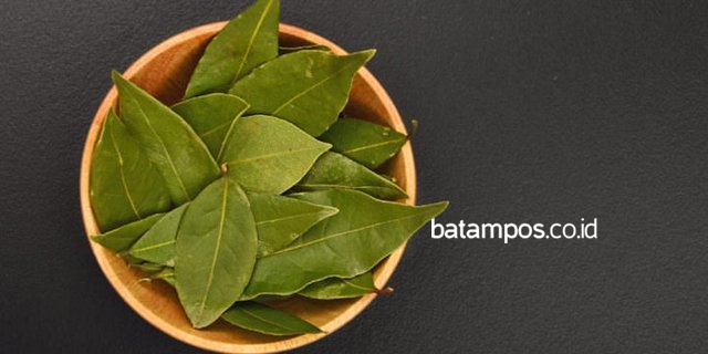 Manfaat Daun Salam Untuk Kesehatan