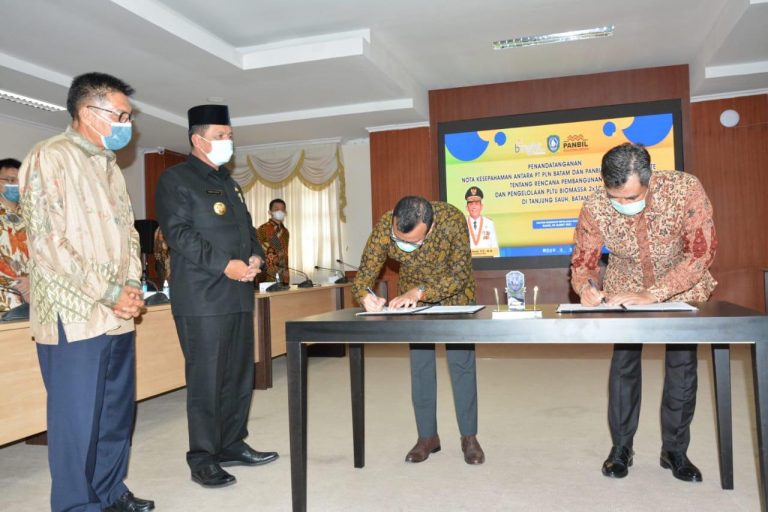 Batam Kembangkan PLTU Biomassa, Jamin Ketersediaan Energi Kepri
