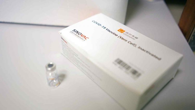 Ini Kata Ahli Soal Kemanjuran Sinovac, Vaksin Pfizer, dan Moderna