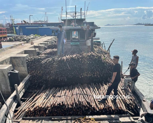 Bea Cukai Batam Gagalkan Penyelundupan 10.810 Batang Kayu Teki