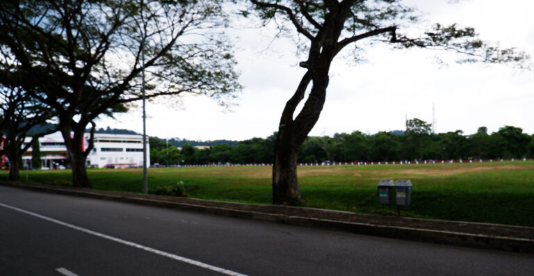 Taman Seribu Janji