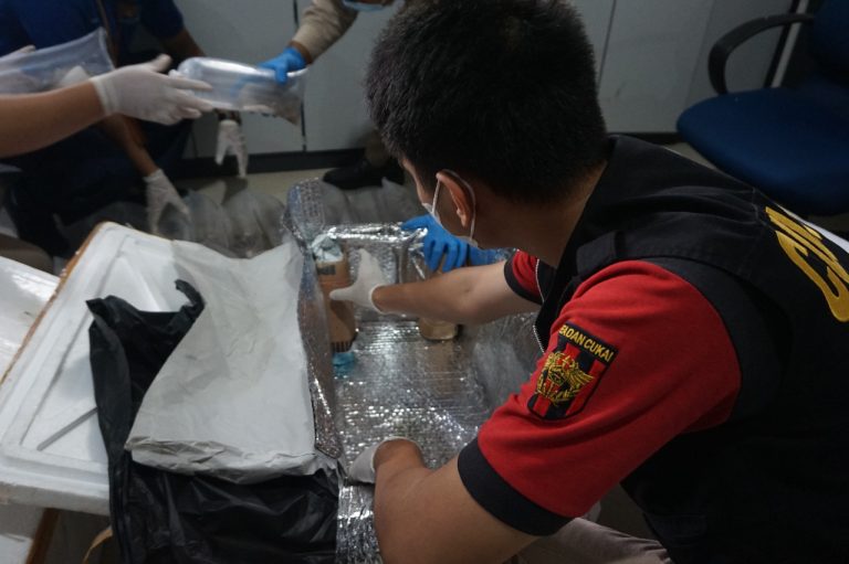 Bea Cukai Gagalkan Upaya Penyelundupan Benih Lobster Senilai Rp1,5 Miliar