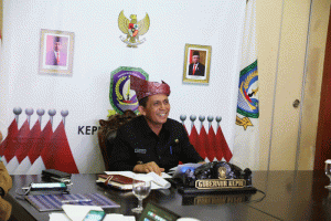 Tarik Investasi ke Karimun, Gubkepri Gesa Pembangunan Landasan Bandara
