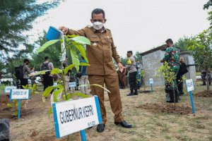 Kunjungi Pulau Nipa, Gubkepri Serahkan Bantuan Sembako dan Tanam Pohon