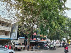 Disperkim Tanjungpinang Kewalahan Atasi Laporan Warga