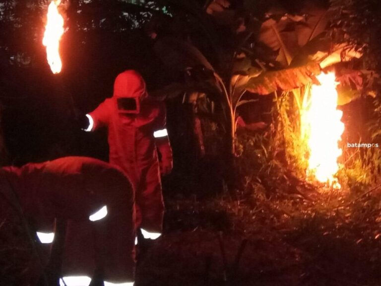 Dua Warga Lobam Disegat Tawon Vespa, Salah Satunya Anak-anak