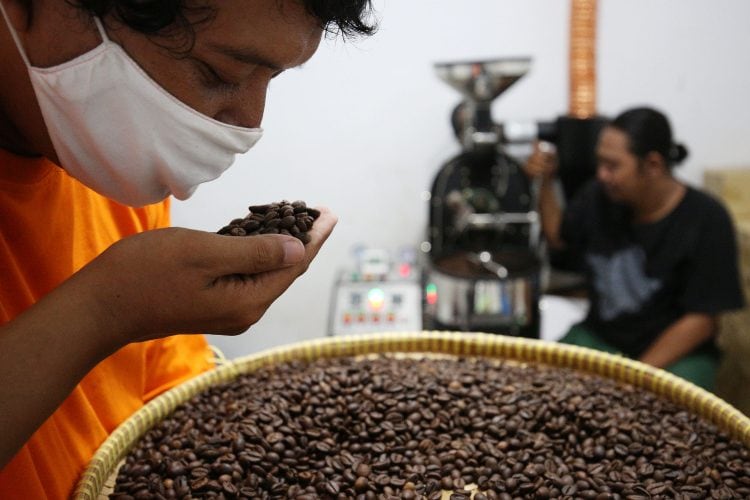 Lewat Kompetisi Ini Dicari Biji Kopi Terbaik Dari Indonesia