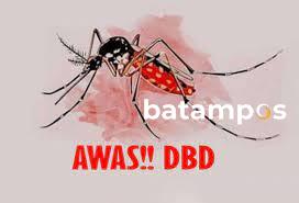 Dua Bulan, 7 Warga Seri Kuala Lobam Terjangkit DBD, 1 Balita Meninggal