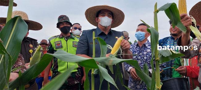 Roby Apresiasi Kerja Keras Petani Jagung di Kampung Pelita Baru