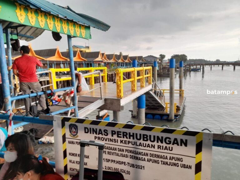 Demi PAD, Pemprov Kepri Incar Kelola 14 Pelabuhan