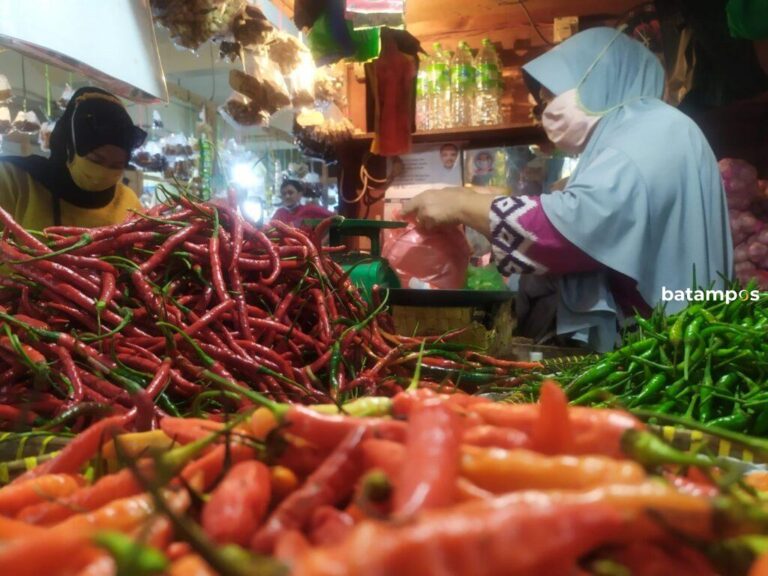 Di Tanjungpinang, Cabai Rawit masih Mahal