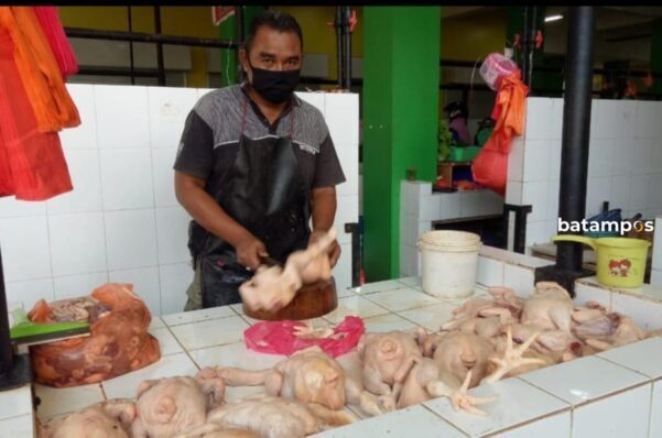 Stok Ayam Potong di Pasaran Menipis, Harga Naik