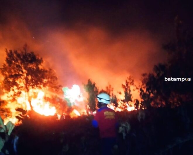 Sehari, Dua Kebakaran Lahan di Bintan 