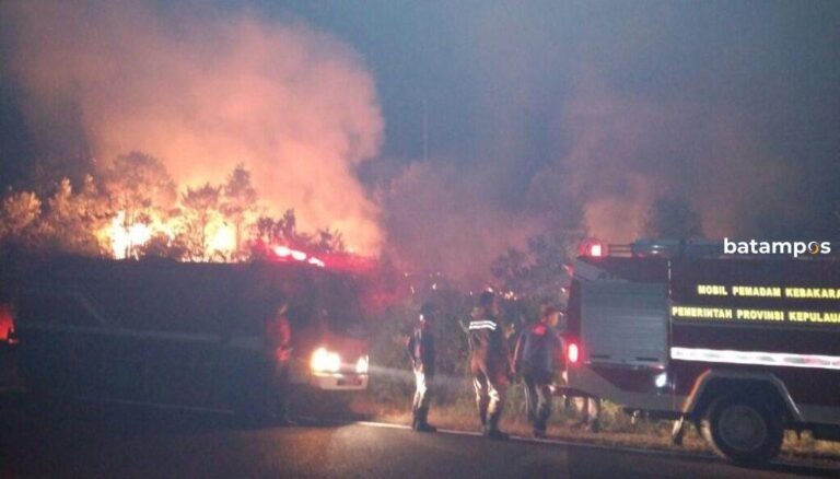 223,5 Hektare Lahan Terbakar Sepanjang 2021 di Tanjunguban, Lobam dan Teluk Sebong