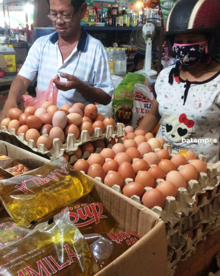 Di Karimun Harga Telor Per Butir Rp2.200
