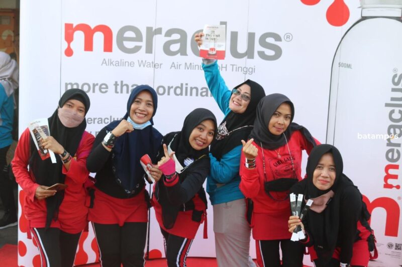Meraclus e1643164491529