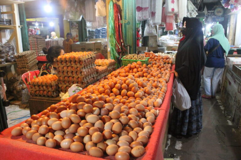 Harga Telur Ayam akan Berangsur Menurun