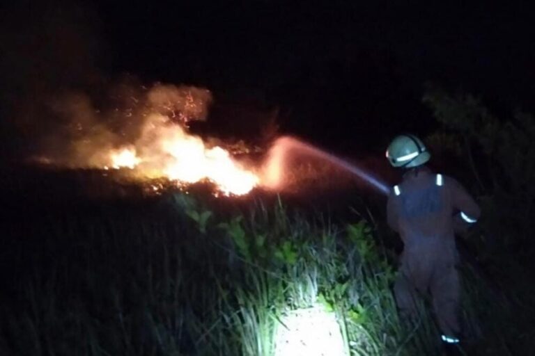 Lahan Semak Belukar Dekat Rumah Warga Terbakar di Desa Berakit