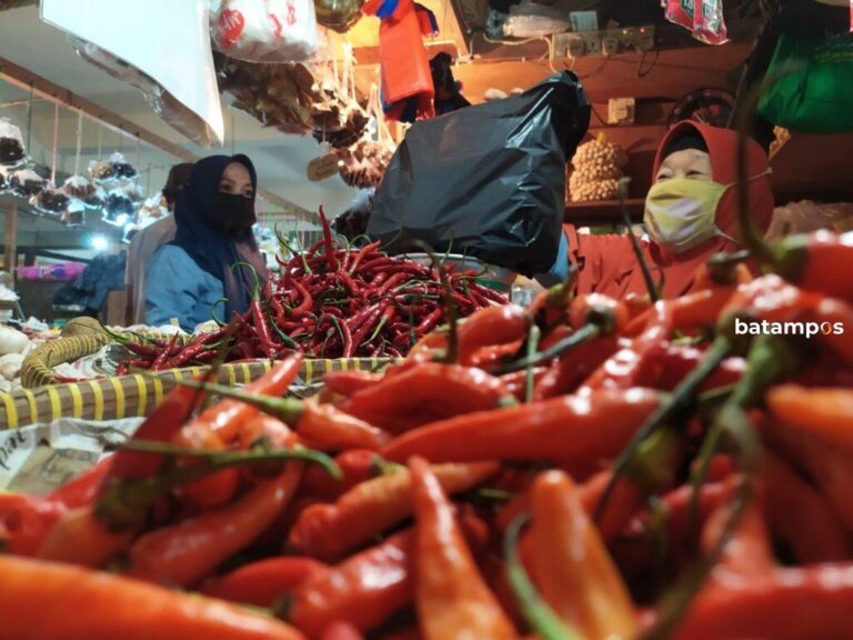 Harga Cabai dan Bawang Merah Turun
