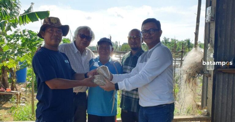 Kembangkan Tanaman Sorgum, Raja Ariza Bagikan Bibit ke Petani Kampung Sei Jeram, Tanjunguban