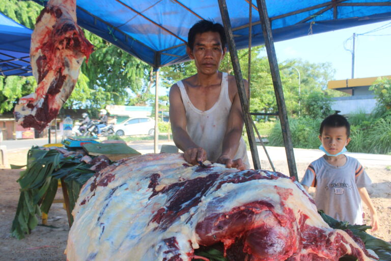 Inkopas: Seharusnya pemerintah Mengevaluasi dn Mencegah kelangkaan Stok Daging Sapi