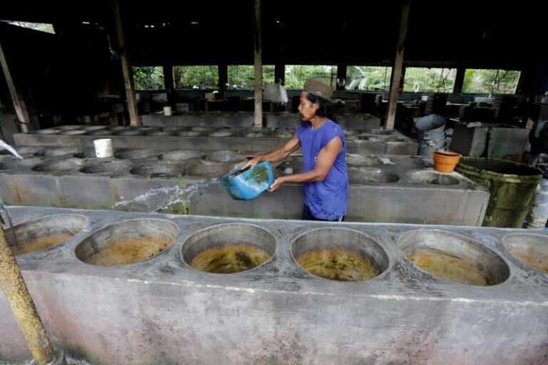 Importir dan Distributor Kedelai Impor Seenaknya Menaikkan Harga