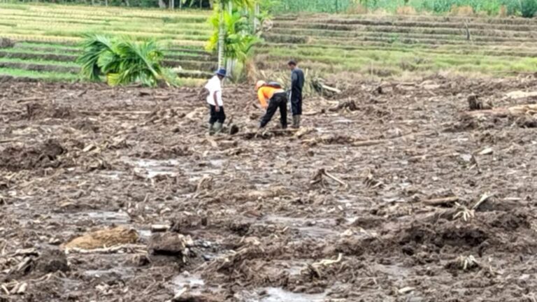 Korban Gempa Pasaman Barat Jadi 9 Orang
