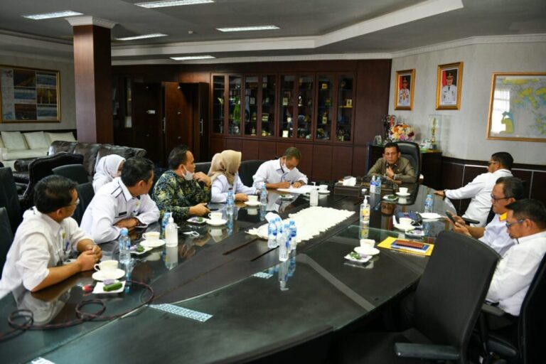 Cocok Diterapkan di Kepri, Gubernur Ansar Dukung Program One Village One CEO