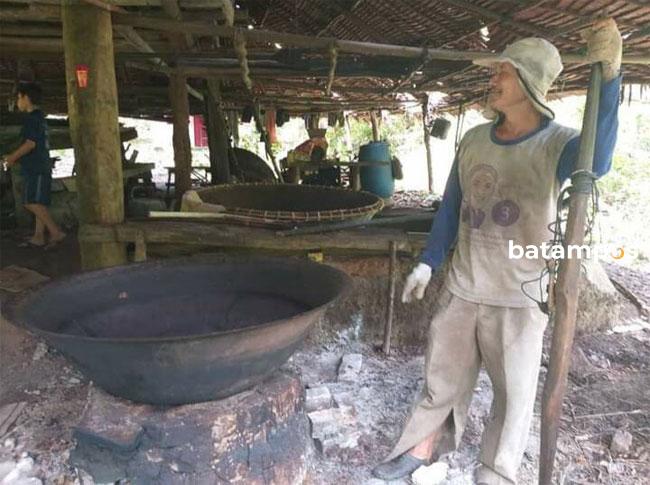 Mengenal Gambir, Komoditas Rempah Andalan Peninggalan Kesultanan Johor-Pahang-Riau-Lingga