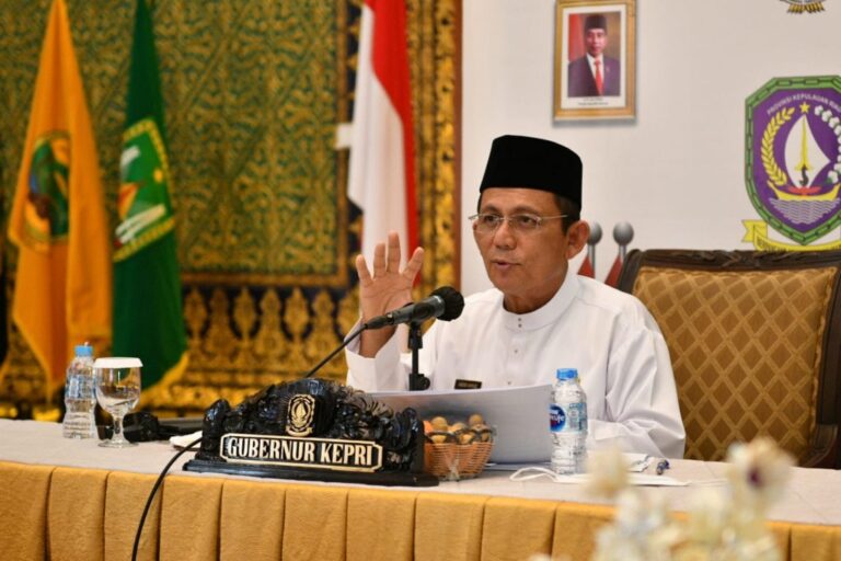 Gubkepri: Program One Village One CEO Cocok Diterapkan di Kepri