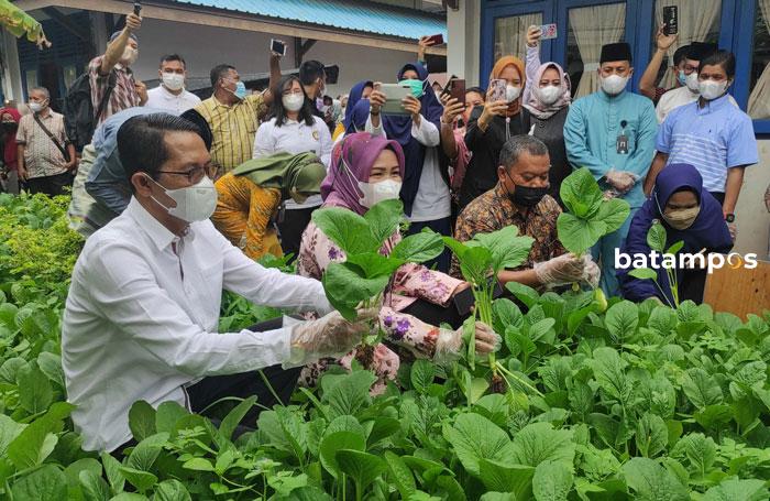 SMPN 12 Batam Panen Raya Sawi