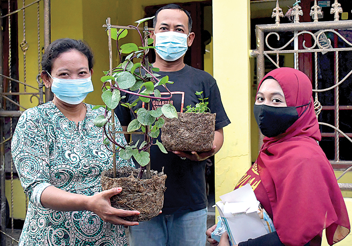 Manfaatkan Gedebok Pisang Jadi Media Tanam, Pilih Pohon yang Sudah Pernah Berbuah