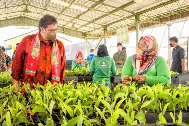Menko Airlangga: Reforestrasi Dorong Akselerasi Pertumbuhan Green Economy