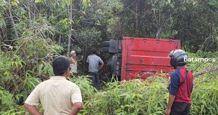 Truk Angkut Kelapa Muda Terperosok di Toapaya, Bintan