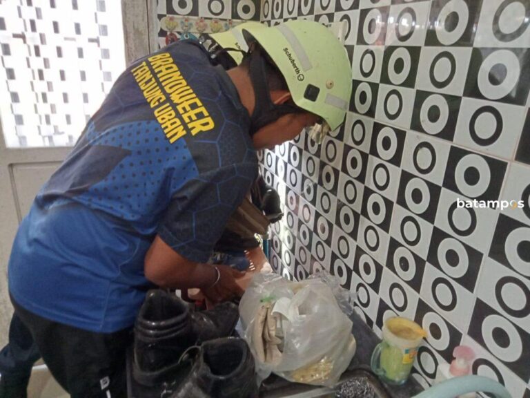 Masuk Rumah Warga, Ular Lidi Berhasil Ditangkap