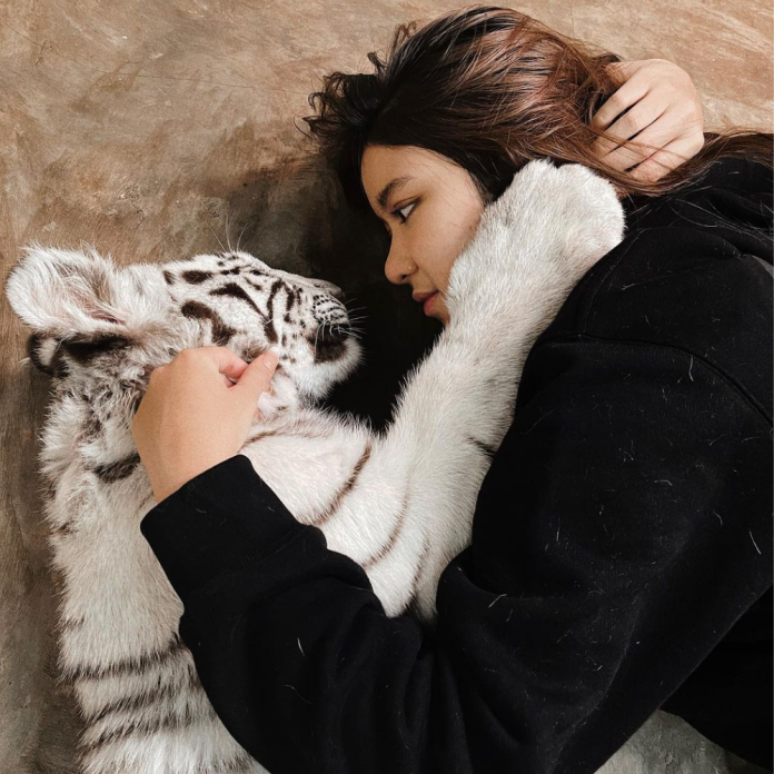 Punya Peliharaan Bayi Harimau Putih, Pacar Tiara Andini Dikritik