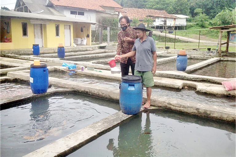 Sentra Perikanan Budidaya Sukses Melakukan Budidayakan Ikan