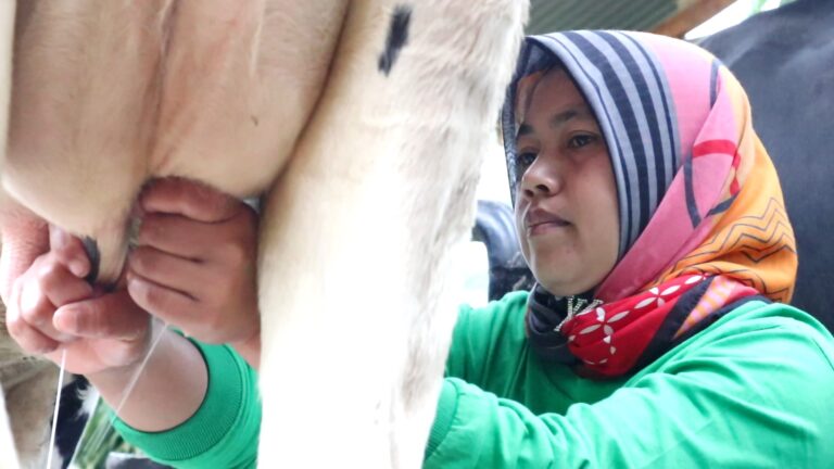 Perempuan Memiliki Kesempatan Sama Menjalani Peran dan Meraih Cita-cita.