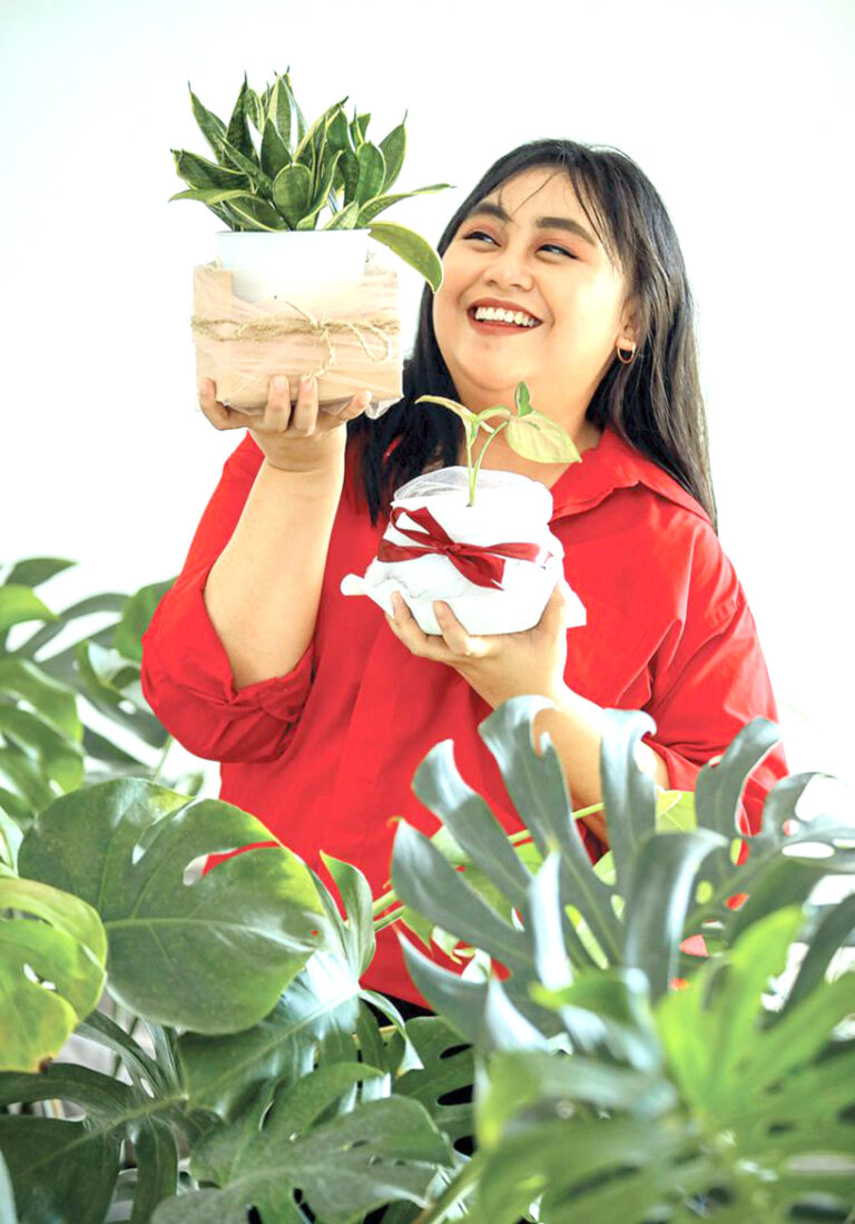 Hamper Tanaman Hias untuk Pencinta Tamanan