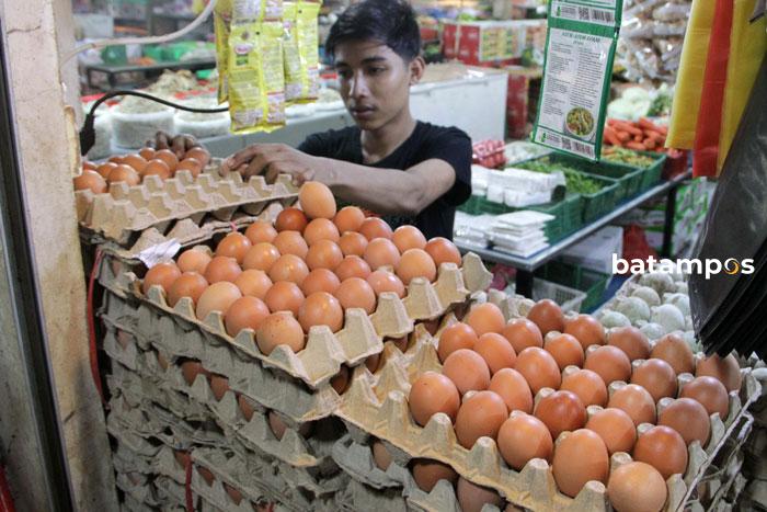 Permintaan Meningkat, Harga Telur Ayam Naik