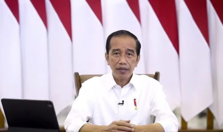Presiden Jokowi Minta Hindari Puncak Mudik
