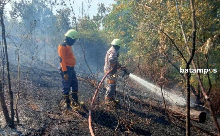 Lahan Seluas 1 Hektare Terbakar di Tanjunguban