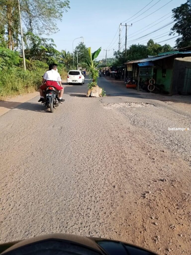 Jalan Rusak Parah, Warga Tanam Pisang di Jalan S Parman Seibeduk