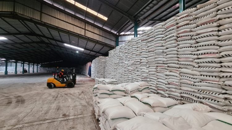 Pupuk Indonesia Terapkan Lima Pilar Strategi Transformasi di Tubuh Perseroan