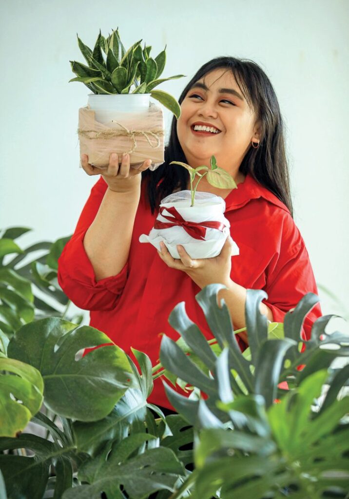 Sansevieria dan Monstera Jadi Hamper Cantik untuk Lebaran