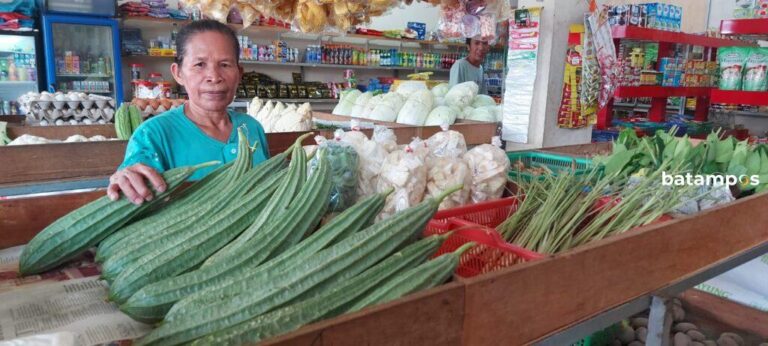 Harga Bahan Kebutuhan Pokok dan Sayur Masih Terpantau Stabil