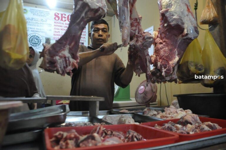 Sapi Asal Riau Dilarang Masuk Karimun