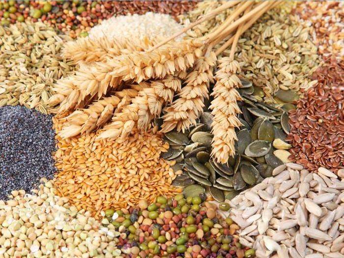 Pemerintah Diminta Cari Alternatif Pengganti Gandum
