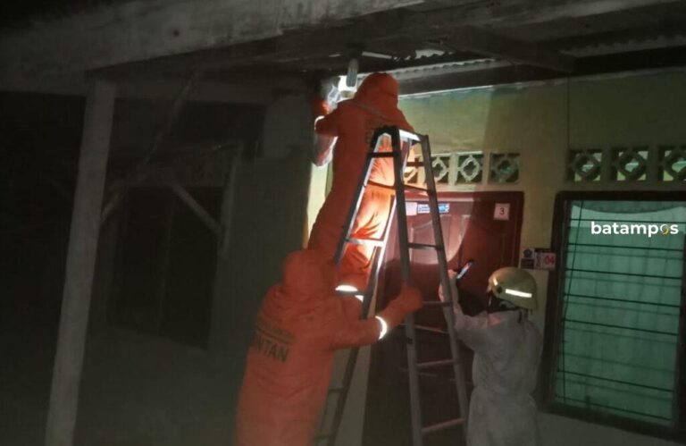 Laras Minta Tolong Pemadam Kebakaran Usir Tawon dari Teras Rumahnya