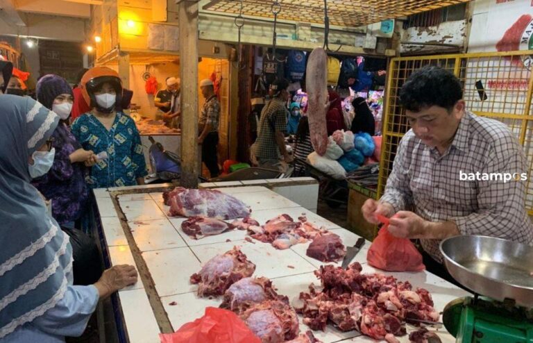 Harga Daging Sapi mulai Naik di Tanjungpinang, Imbas Penghentian Pengiriman Sapi dari Jambi